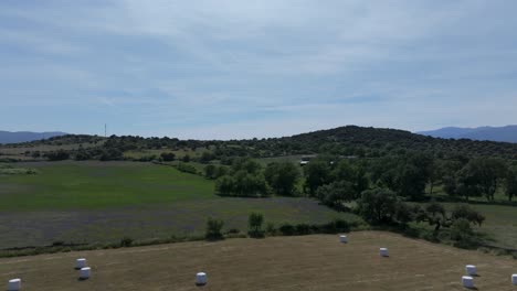reverse flight with drone starting in an area of green meadows and there is a hill and in a field they have cut the grass and there are large round bales of straw in the province of avila