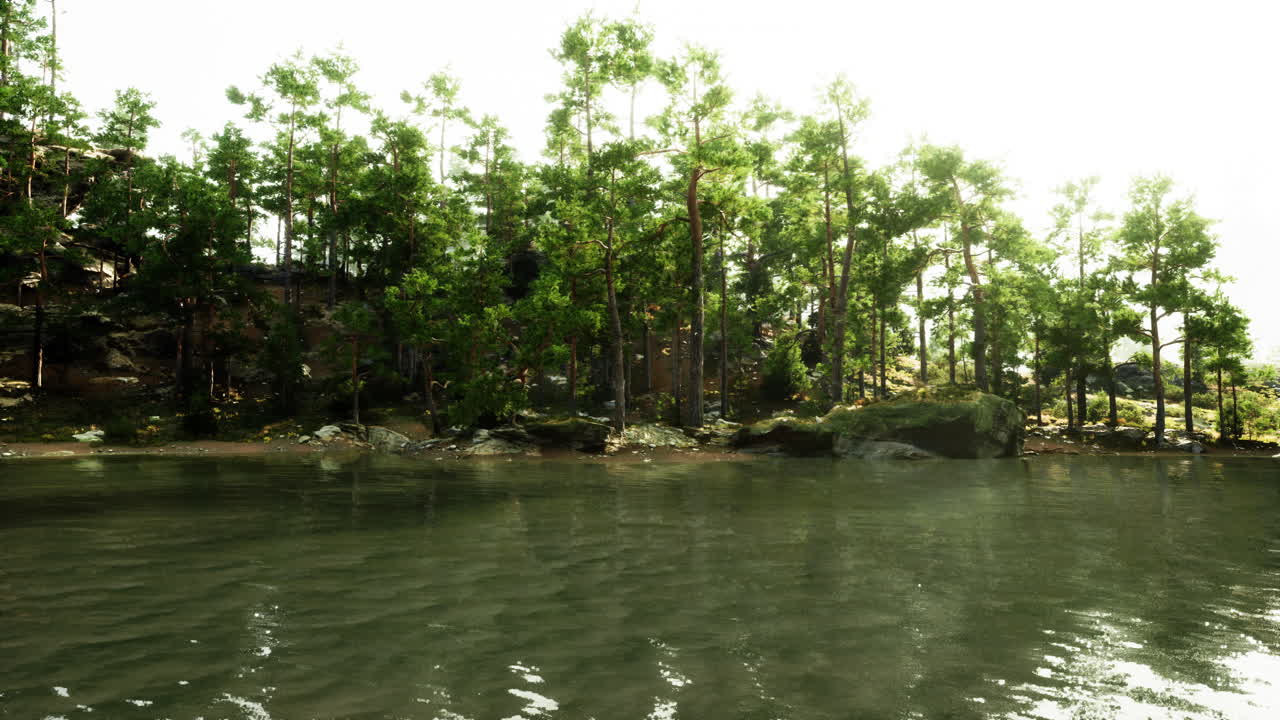 나무와 바위로 둘러싸인 수역