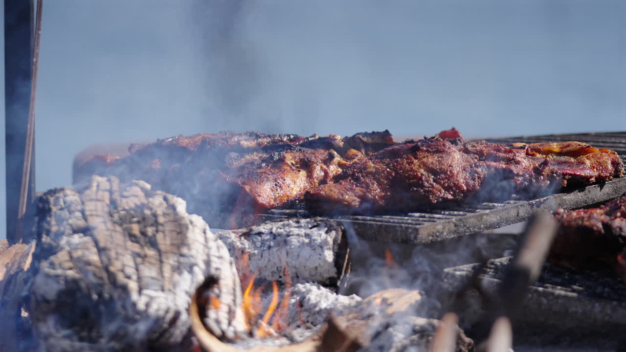 Detailed shot of traditional Argentine asado cooking on open wood fire with visible meat crust, flames, smoke and charred logs, rustic and authentic barbecue scene, static close-up shot
