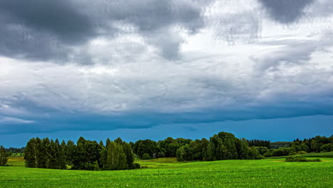 green meadow with trees and blue cloudy sky timelapse, cinematic rural landscape