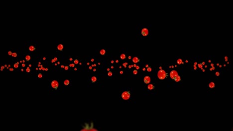 flying many fresh tomatoes on black background. organic vegetables. ripe juicy cherry tomatoes. 3d loop animation of tomato rotating.