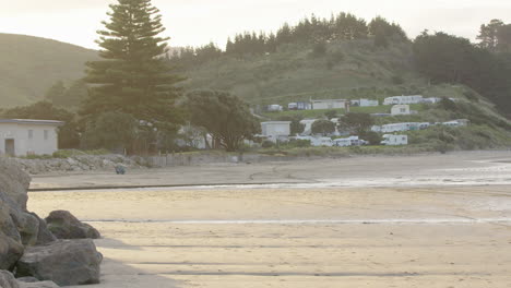 rural new zealand coast sunset at the beach in the wairarapa