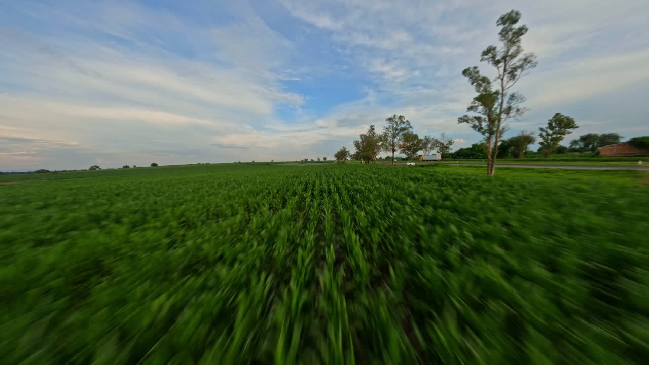 Vast Green Fields and Blue Skies: A Peaceful Countryside Landscape