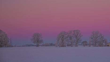 Märchenhafte-Winterlandschaft-Mit-Einer-Verschneiten-Wiese-Und-Bäumen-Unter-Einem-Rosa-Und-Roten-Himmel