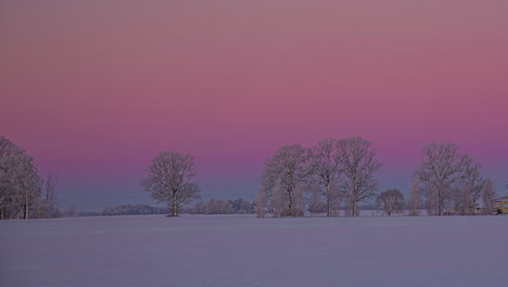 Paisaje-Invernal-De-Cuento-De-Hadas-Con-Un-Prado-Nevado-Y-árboles-Bajo-Un-Cielo-Rosa-Y-Rojo