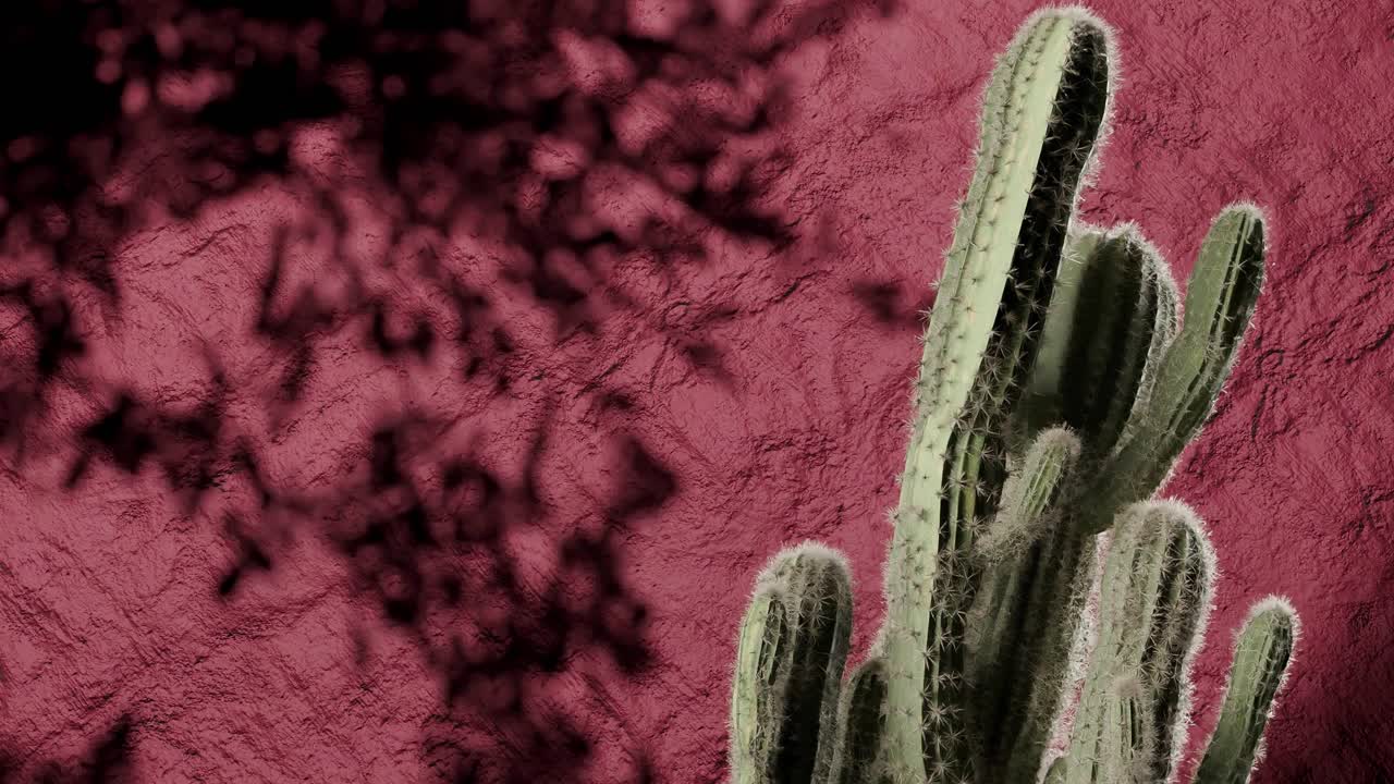 Green cactus against textured red wall with plant shadows. Botanical desert composition. Summer nature and southwest flora concept. wallpaper, banner, header. Flat lay with copy space.