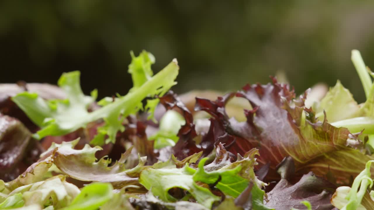 hacer ensalada de cerca de hojas de lechuga verde que caen en el fondo en cámara lenta - concepto de alimentación saludable comida 4k clip