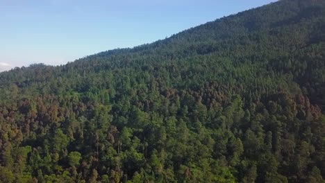 Aerial-view-of-dense-vegetation-in-the-forest-on-the-slope-of-mount-Sumbing-central-java