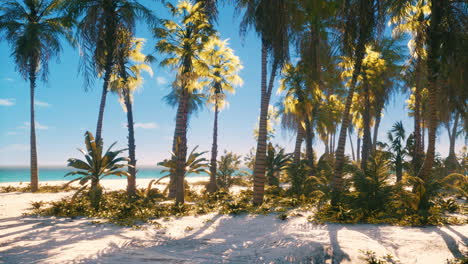 tropical beach paradise with palm trees