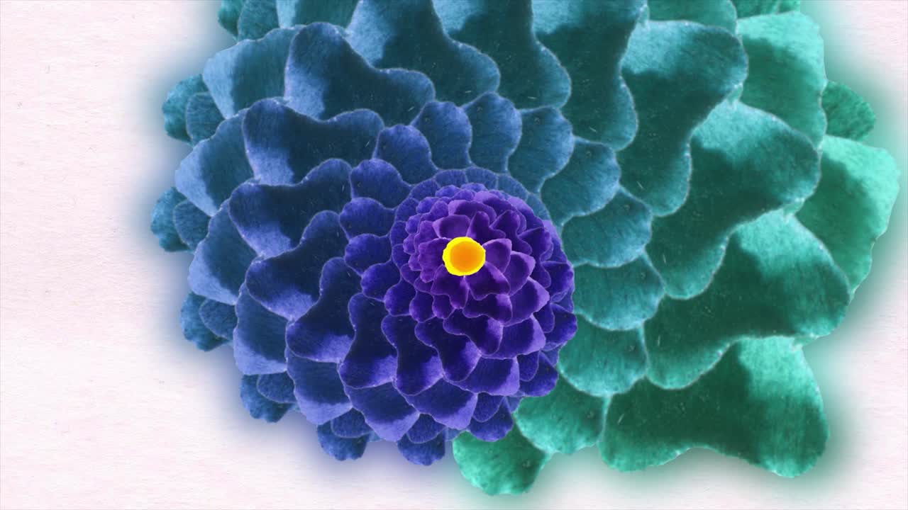 diseño floral en espiral abstracto