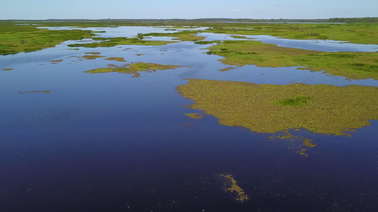 humedales del noreste de argentina disparados con drones