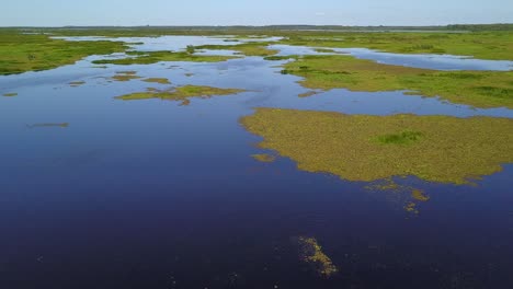 wetlands of northeast argentina shooted with drone
