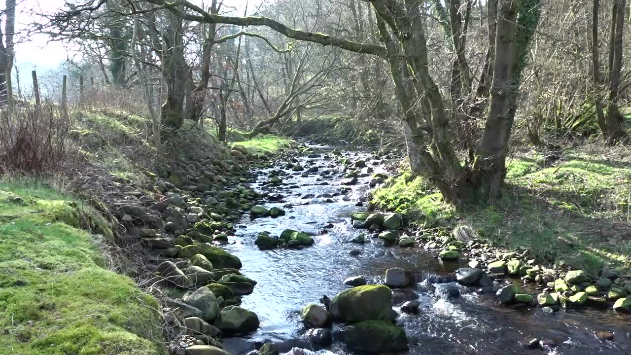 hermosas escenas del campo y el río lancashire