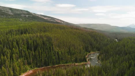 daytime aerial view of the yellowstone river unveils a landscape of unparalleled natural beauty