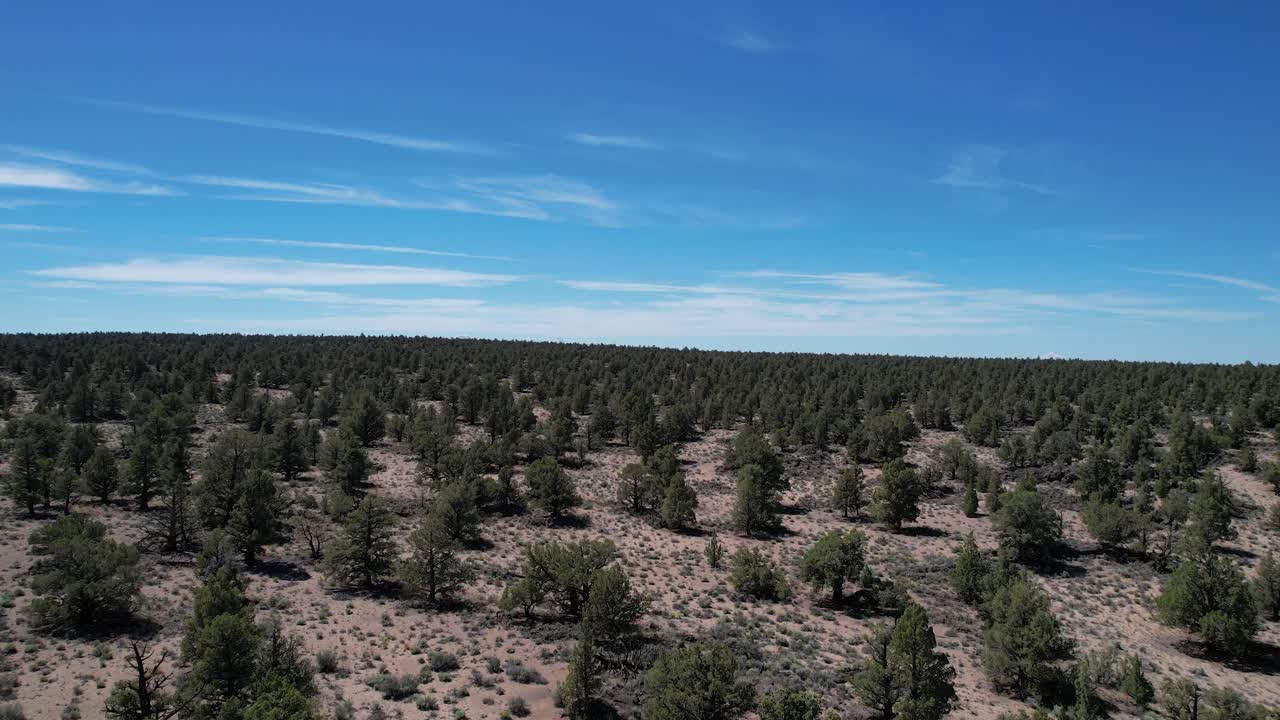 Ripresa con drone sull'alto deserto in Oregon, con la catena montuosa delle Cascate in lontananza