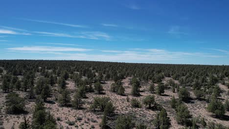 drone disparó sobre el alto desierto en oregon con una cordillera en cascada en la distancia