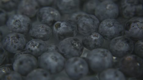 blueberries-floating-to-the-surface-of-water-with-back-background,-shot-2