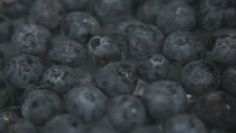 blueberries floating to the surface of water with back background, shot 2