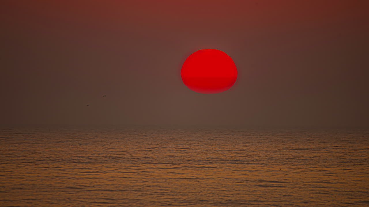 таймлапс снимок красочного солнца, заходящего за горизонт на фоне океана