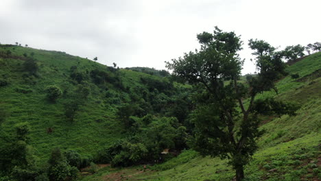 shot of a maintain with water falling
