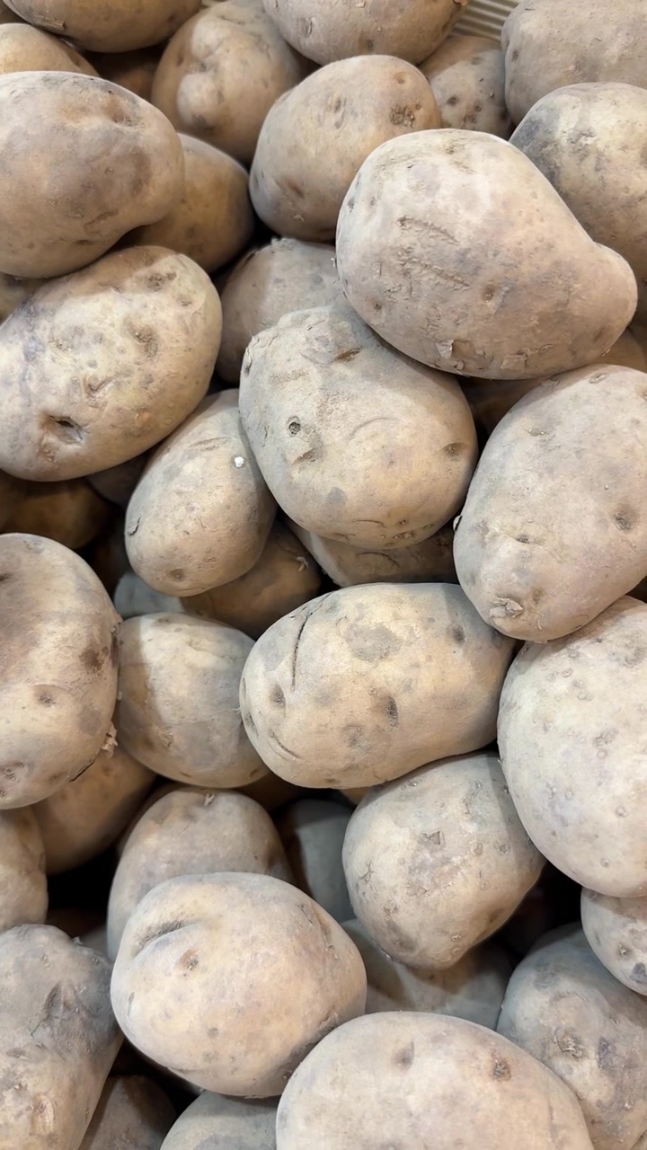 Primo piano di patate appena raccolte e non lavate