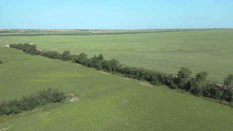 Agriculture-landscape-in-Canada-green-grassland,-road-graders-working,-aerial