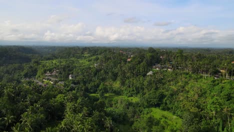 Luftaufnahmen-Des-Lebendigen-Grüns-Des-Sayan-Gebirges,-Des-Dschungels-Von-Ubud,-Bali,-Indonesien.-Sie-Fangen-Das-Dichte-Laub,-Die-Hoch-Aufragenden-Bäume-Und-Die-Traditionellen-Häuser-Ein-Und-Bieten-Eine-Ruhige-Und-Malerische-Aussicht