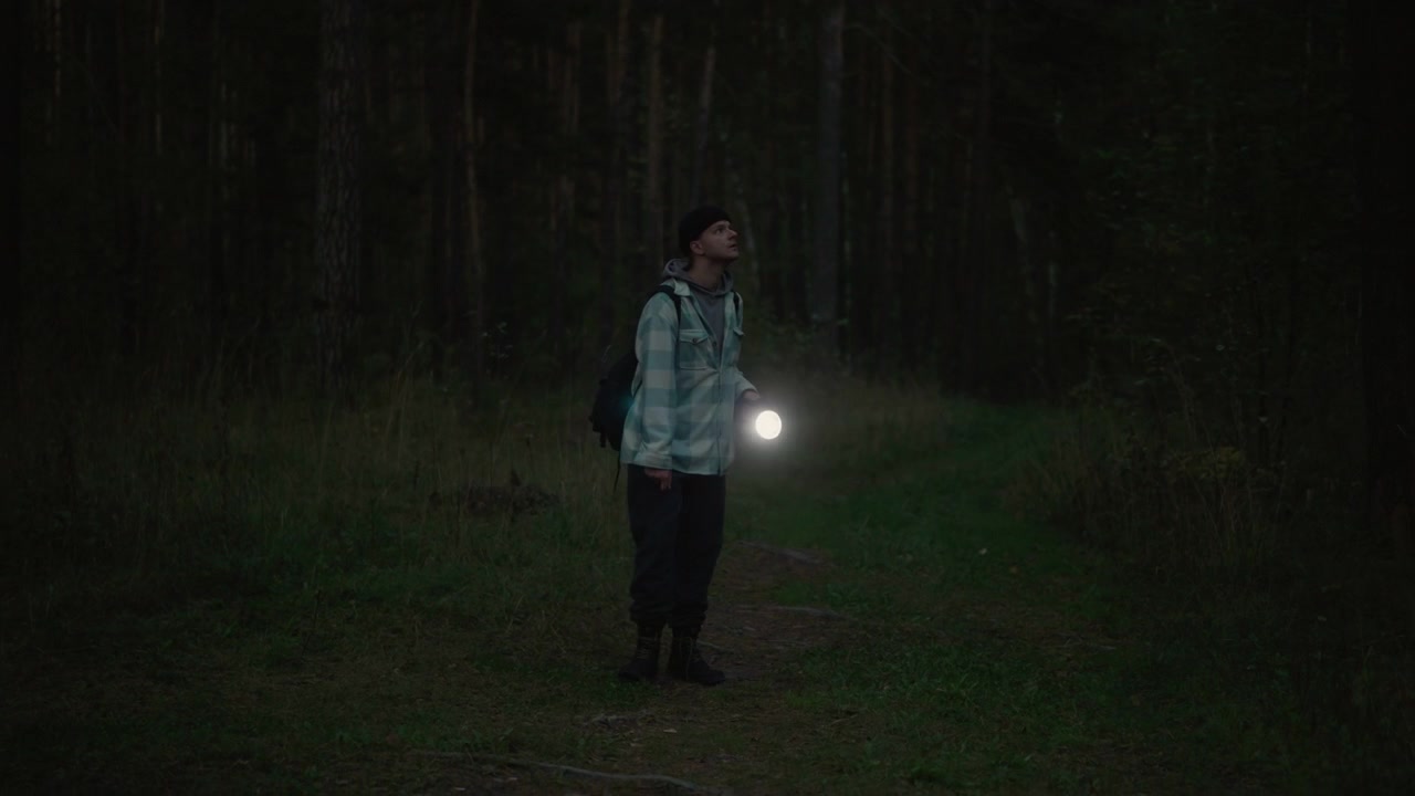 solo hiker holding flashlight in forest, cautious scan of undergrowth and trail, reflective jacket glinting, camera hanging from neck, damp leaves underfoot, narrow path disappearing into trees, tense