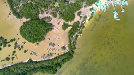toma aérea de drones del pantano de manglares en chelem yucatán méxico