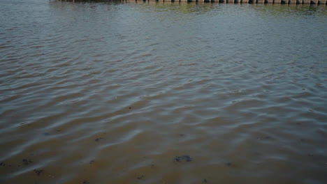 Rippling-water-surface-at-Pateira-de-Fermentelos,-Aveiro,-Portugal