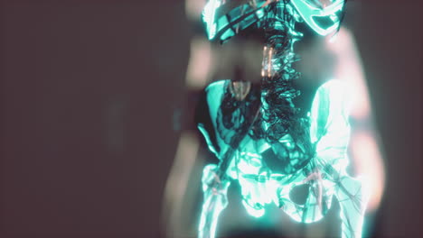 concepto de las articulaciones humanas con la anatomía del esqueleto del cuerpo