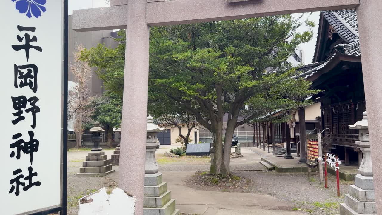 Una lenta panoramica rivela un tradizionale edificio del santuario shintoista in legno dietro un torii.