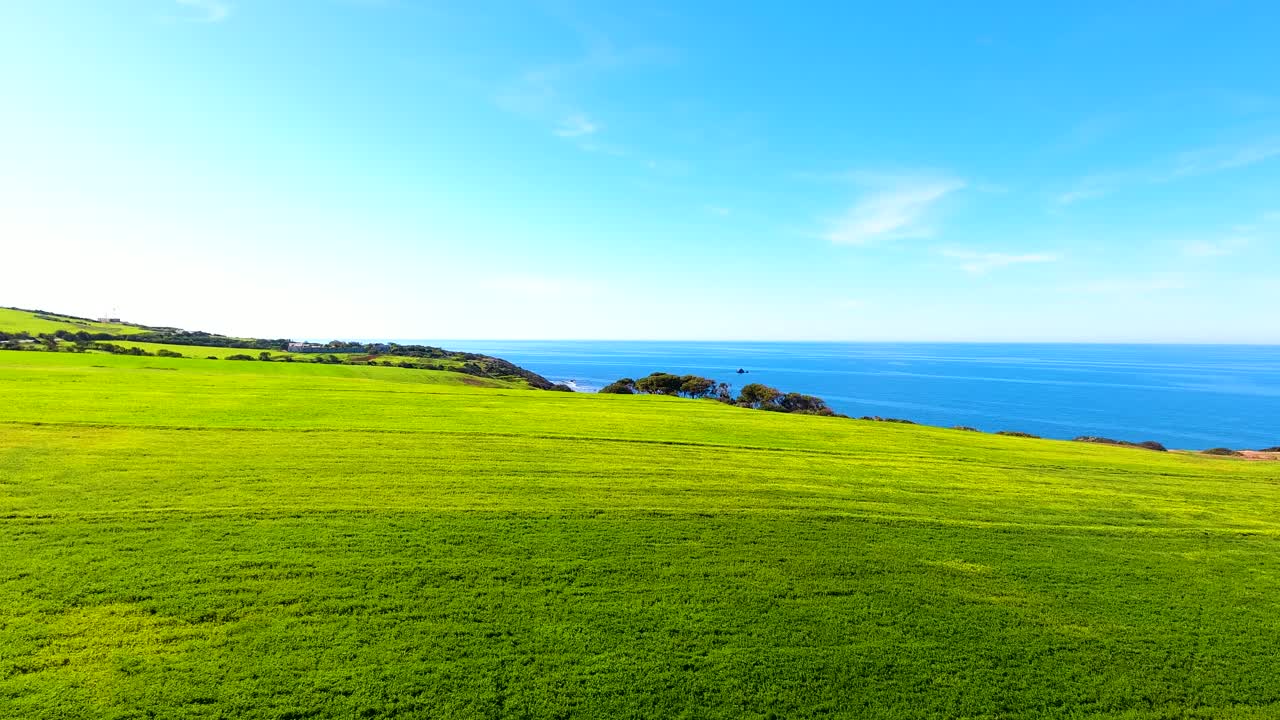 toma aérea de aviones no tripulados de campos agrícolas de trigo