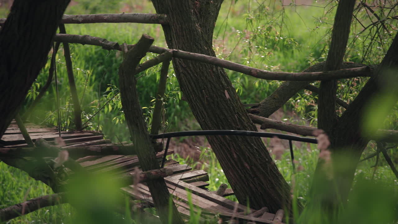 handmade wooden bridge over a small river with small tree trunks as hand rails in lush green forest