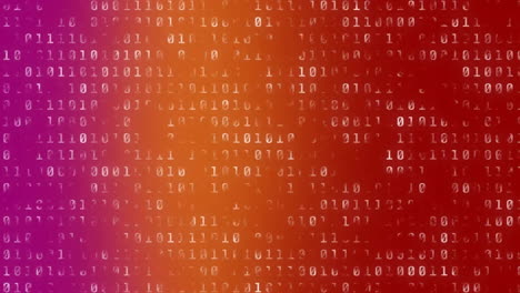 animazione di codifica binaria su sfondo colorato