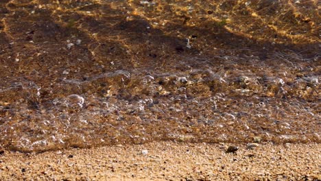 small waves washing over sandy shore