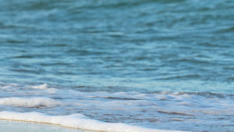 a powerful wave crashes on the shore, its white foam spraying in the air