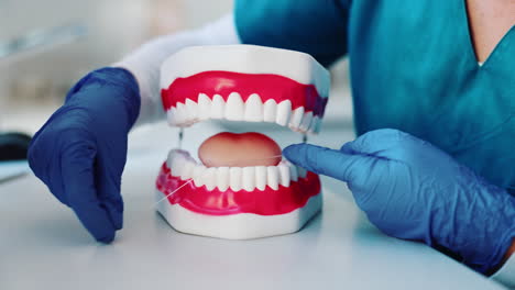 dental hygiene and teeth care