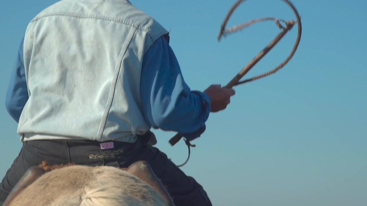 Uomo di campagna a cavallo di un cavallo bianco che agita la frusta, al rallentatore