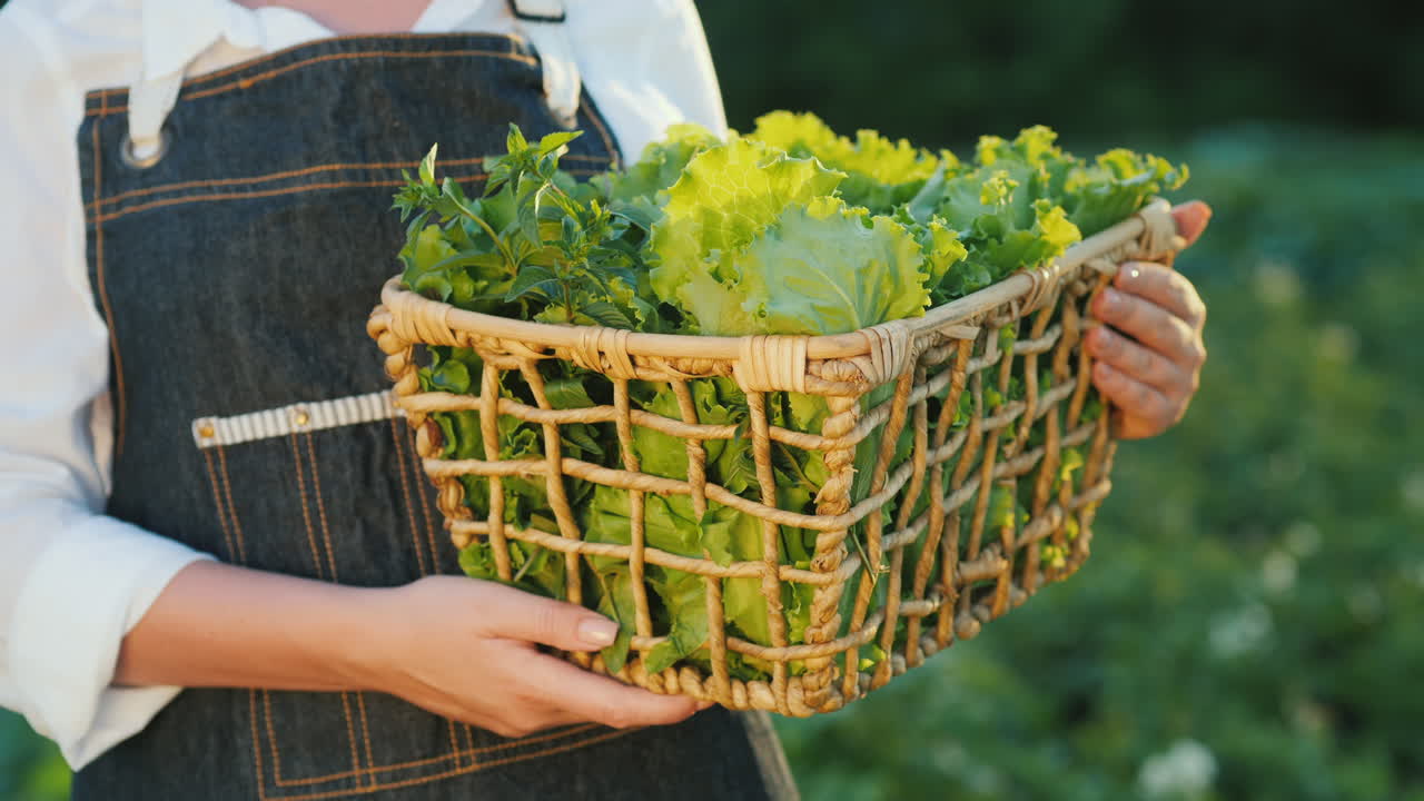 여자는 정원에서 채소 바구니를 들고 있다