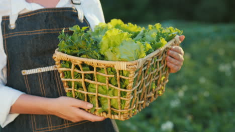 A-woman-holds-a-basket-of-greens-from-her-garden