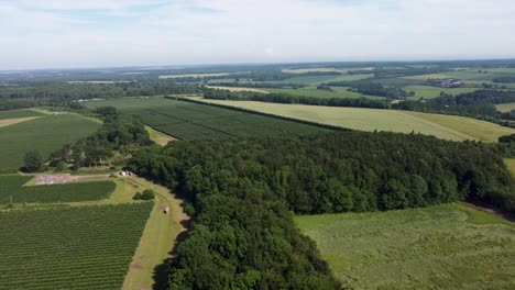 Imágenes-4k-Volando-Sobre-Bosques-En-Inglaterra