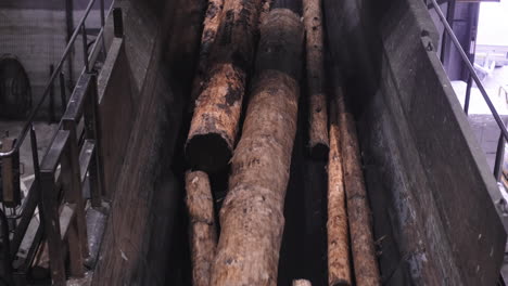 machine that moves logs along a treadmill while shaking them to remove small debris and branches logs are transported through a wood mass facility, possibly for processing or transport to a sawmill