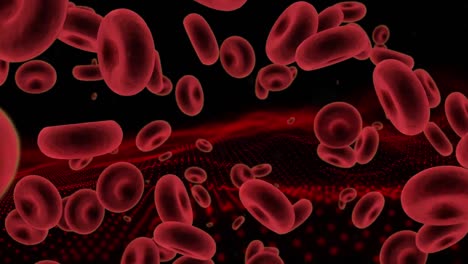 Animation-of-bloodcells-floating-over-black-background