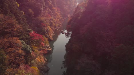 El-Dron-En-Cámara-Lenta-Se-Inclina-Hacia-Arriba-Sobre-Un-Hermoso-Barranco-Inundado-Por-El-Sol-Con-Colores-Otoñales