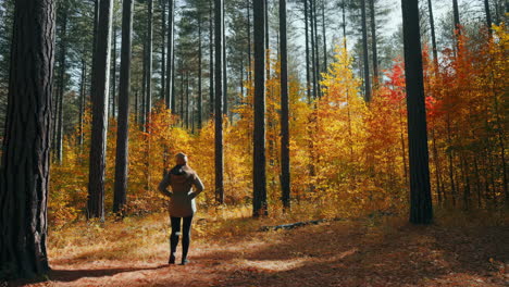 woman walking through a vibrant autumn forest