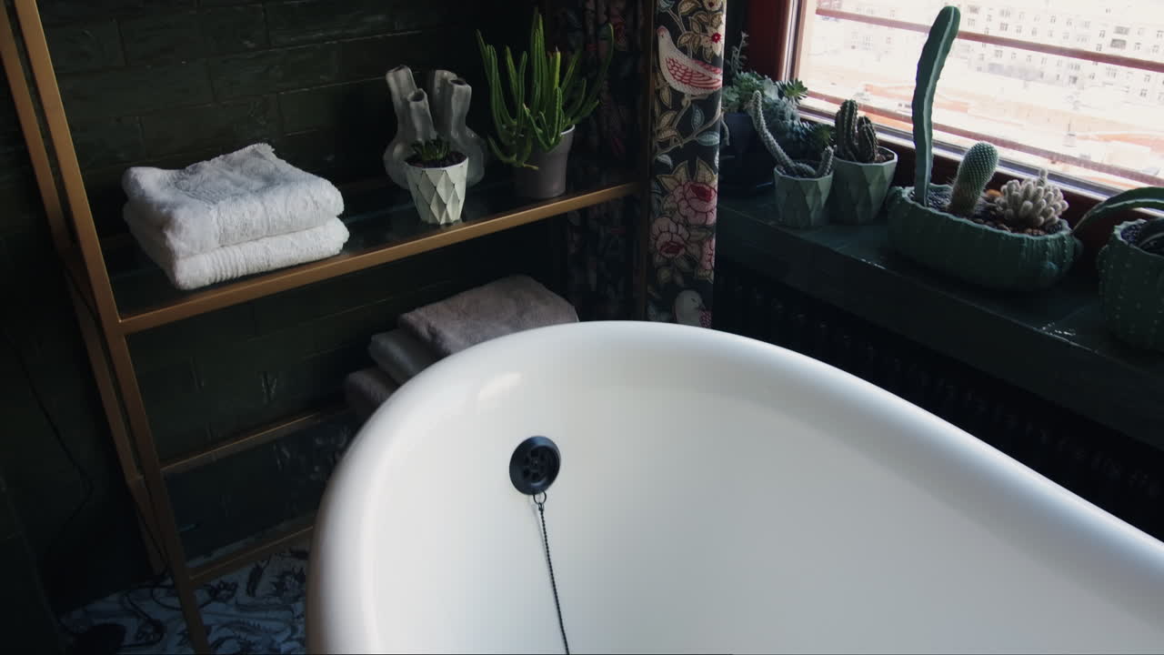 식물 과 욕조 가 있는 세련 된 욕실