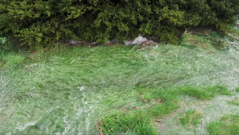 Ein-Strom-Von-Hochwasserabflüssen-Stürzt-Einen-Grasbewachsenen-Hügel-Hinunter