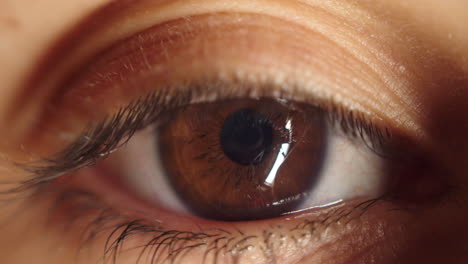 Extreme-macro-detail-closeup-of-single-pretty-brown-eye,-soft-focus,-static