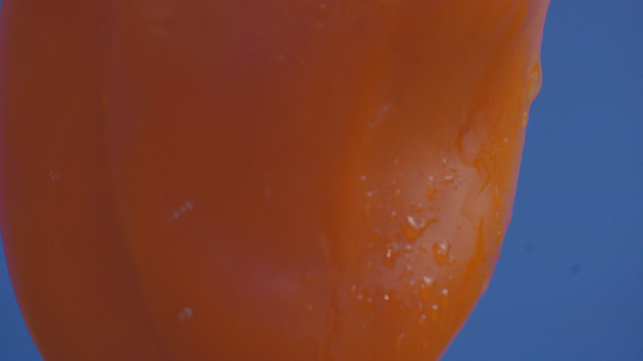 Orange bell pepper in close-up with water droplets against blue background, freshness and healthy food